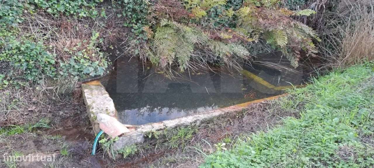 Refúgio perfeito a 15 minutos de Lisboa - Quinta em Loures - Lousa. - Grande imagem: 5/8