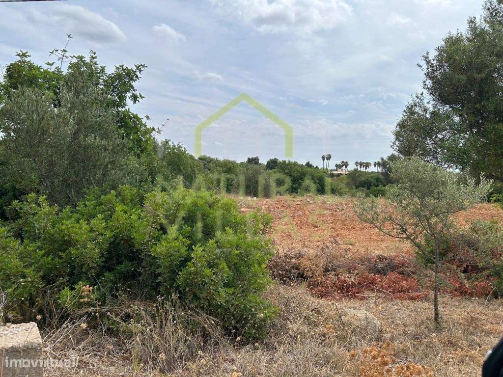 Terreno Rústico Plano com Vista Mar em Conceição - Grande imagem: 3/4