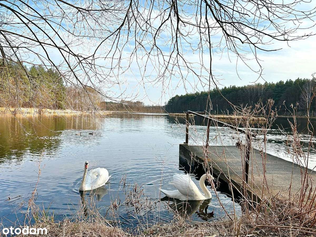 Dom z bajki- Jezioro, Las, Dwa Stawy, 5 hektarów !-0