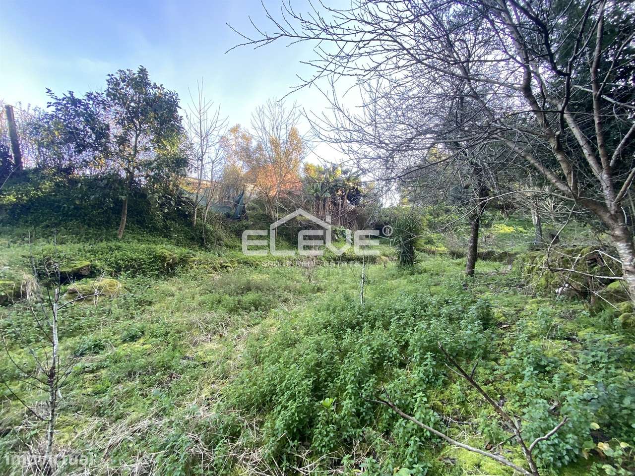 Casa de Campo em Venade-9