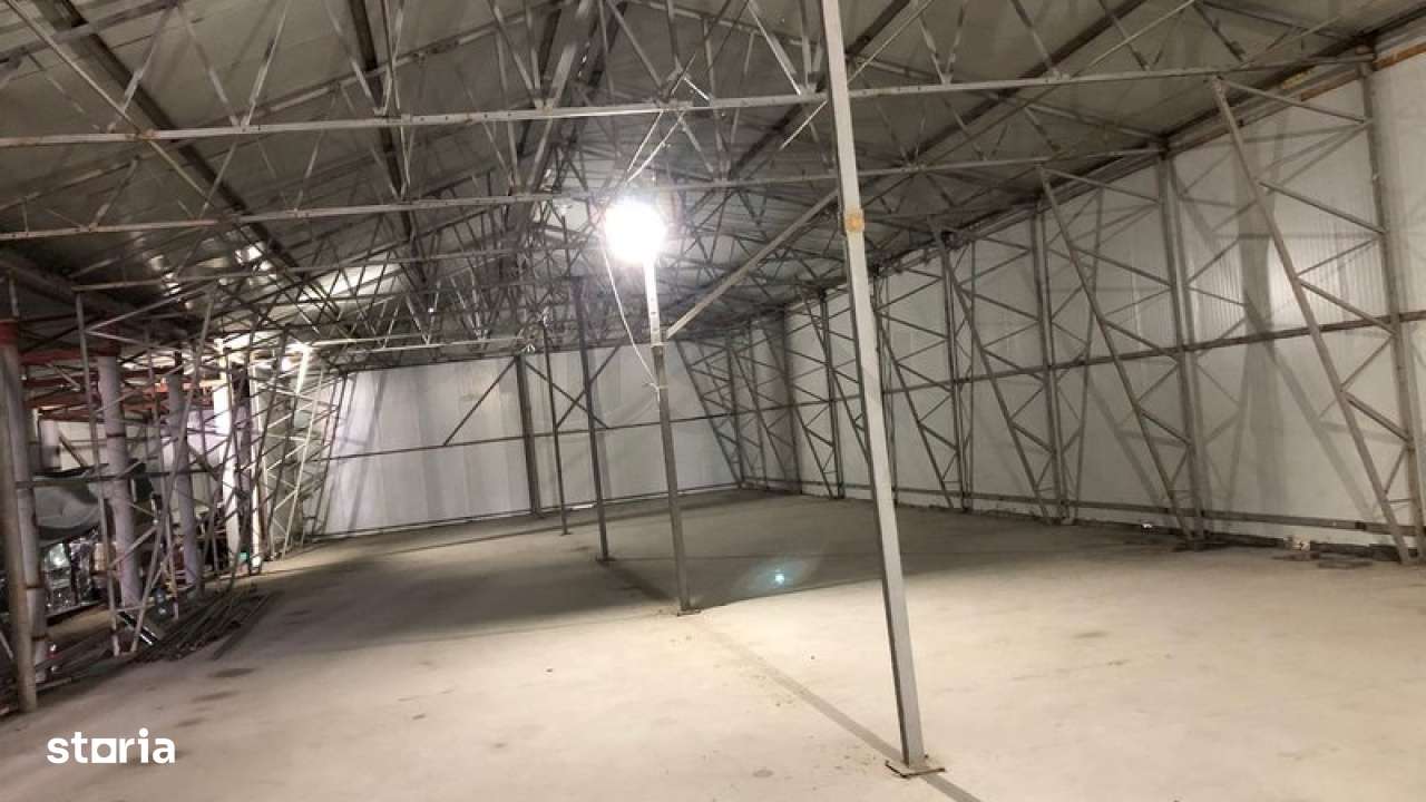 Teren cu doua hale industriale Chitila - Imagine principală: 2/6