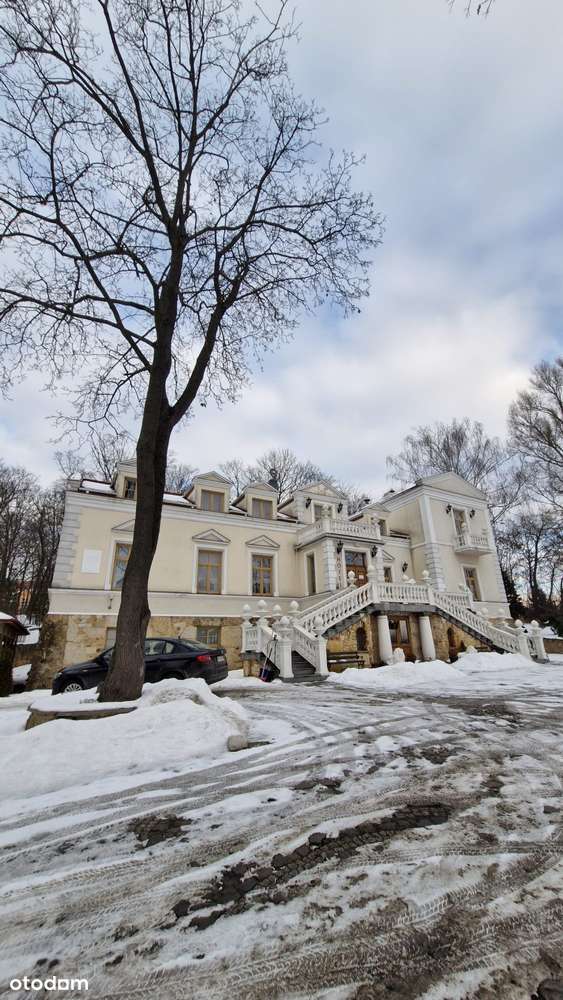 Przepiękny Pałac Tarnowskich czeka na nabywcę.-17