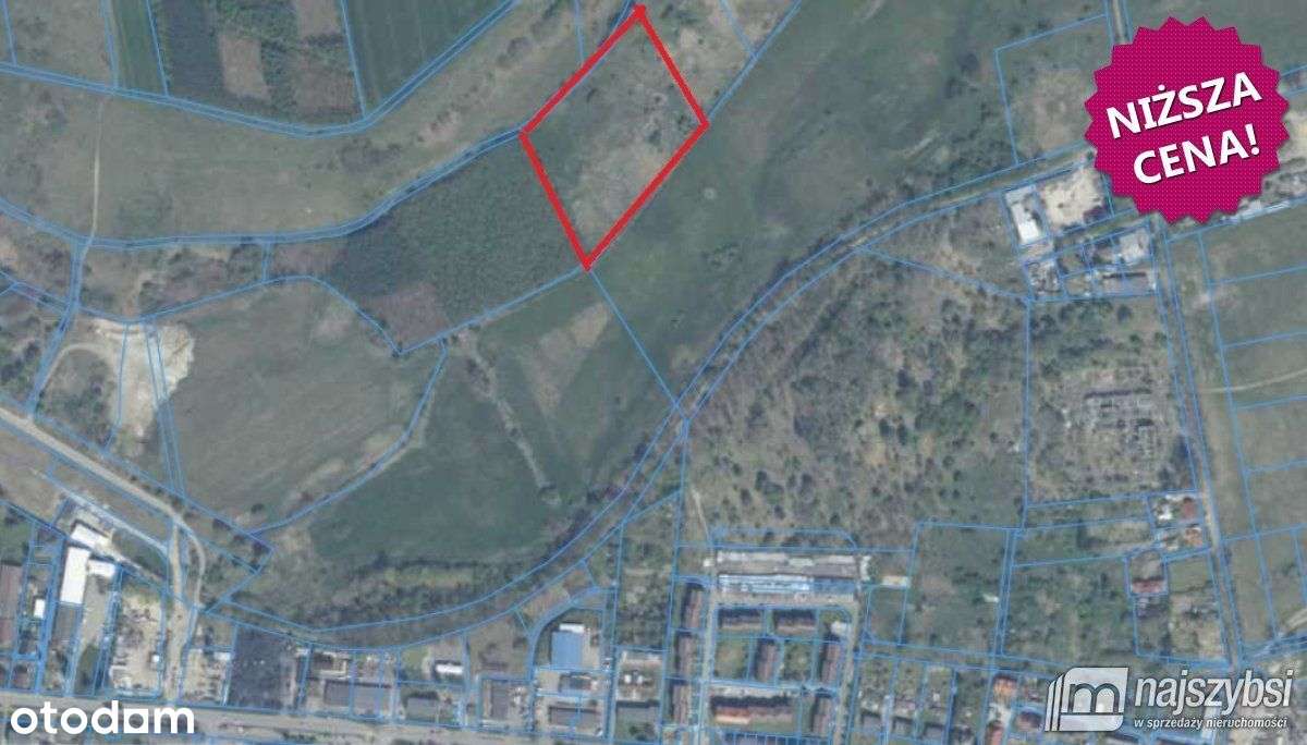 Nowogard - działka rolna 1,65ha - Pełny obrazek: 1/8