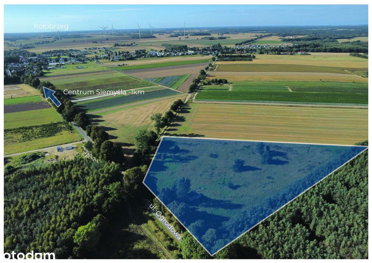 Działka budowlana pod lasem! - Pełny obrazek: 4/6