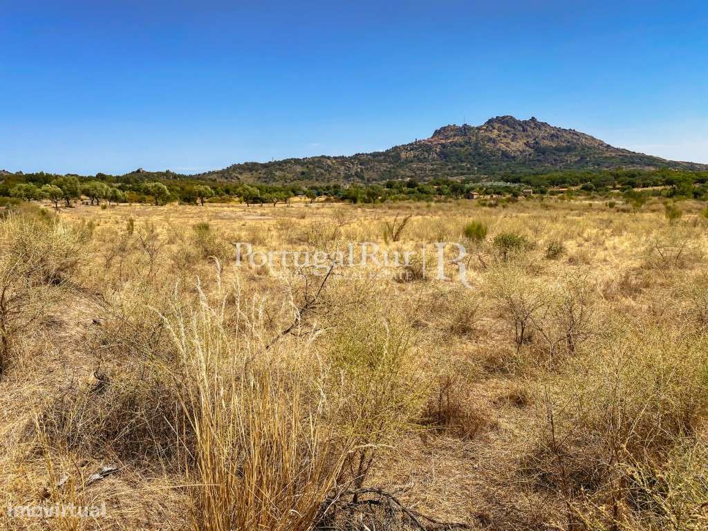 Terreno Rústico em Monsanto - Grande imagem: 2/17