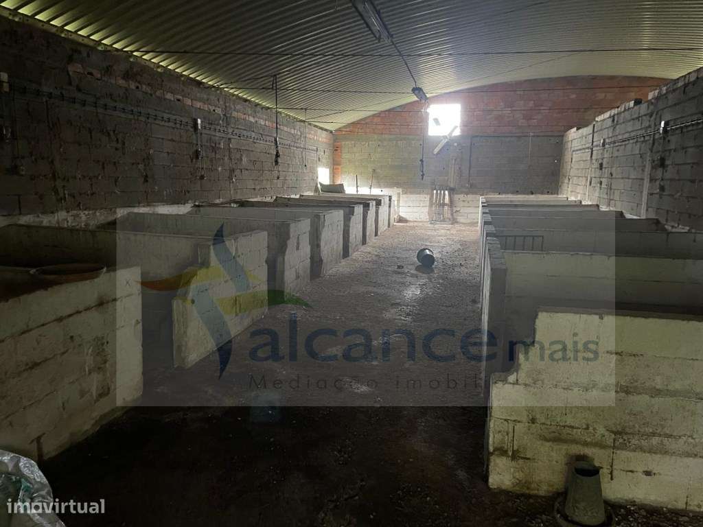 Quintinha de charme com 1,7 ha, capela privada e abundância de água...-35