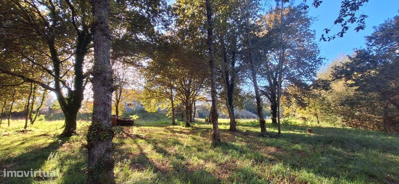 Moradia T4 em UL – Oliveira de Azeméis!-36