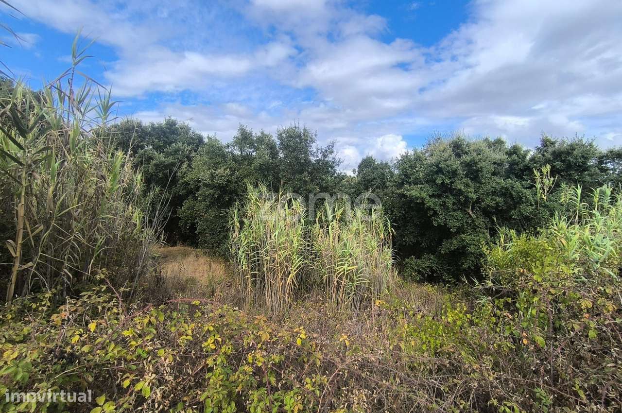 4 Terrenos Área Total de 20.778 m2 - Urbanizável (parcialmente)-12