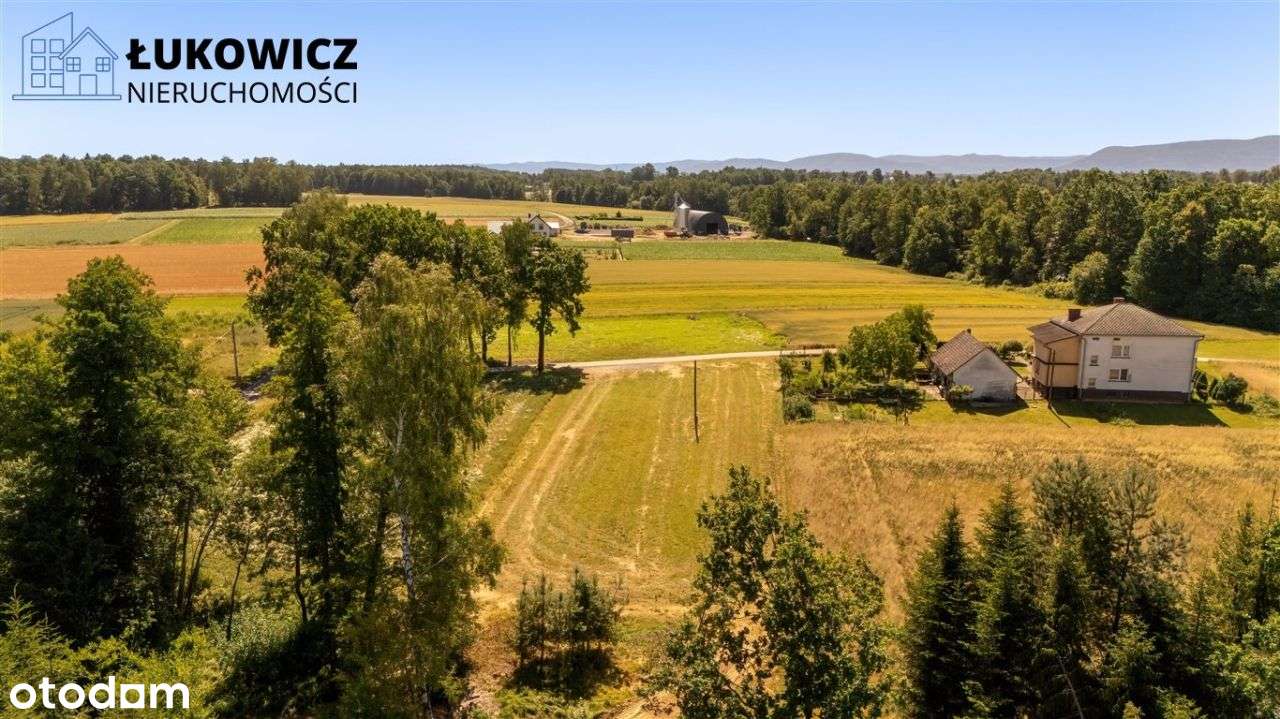 Działka 3057 m² w sąsiedztwie lasu! Dankowice-14