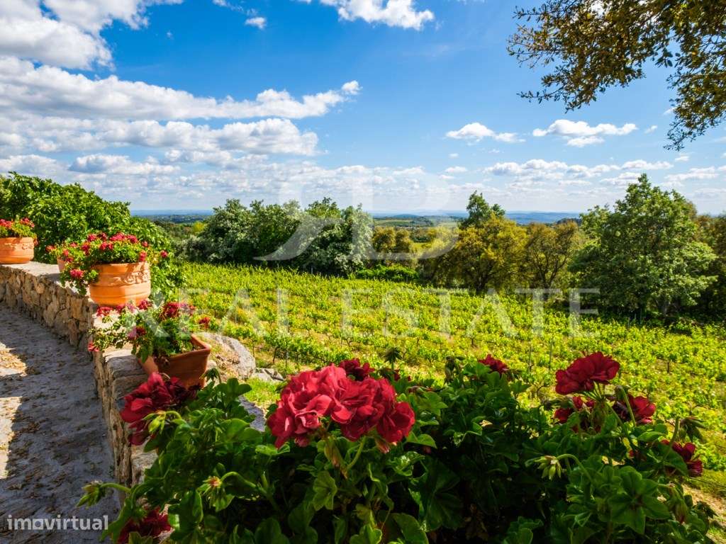 Quinta - 11 hectares com 6 casas, na Serra de São Mamede, Alentejo-37