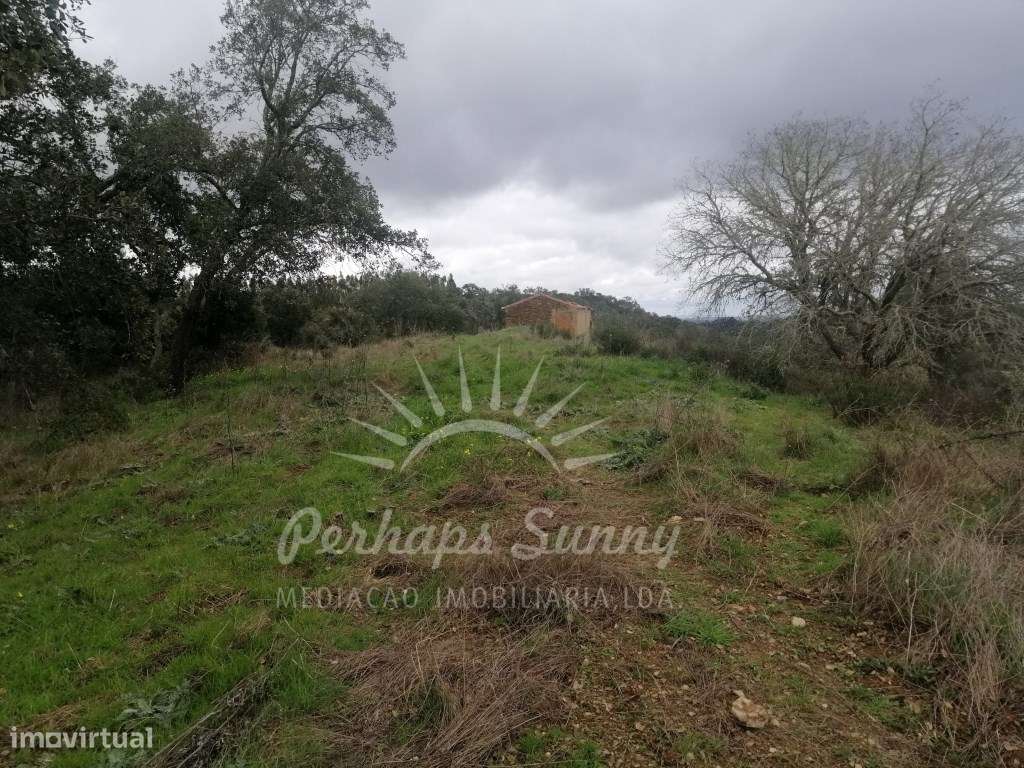 Quinta em Relíquias - Odemira-18