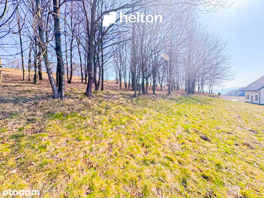 Walowa Góra gm. Limanowa widokowa działka! - Pełny obrazek: 5/8