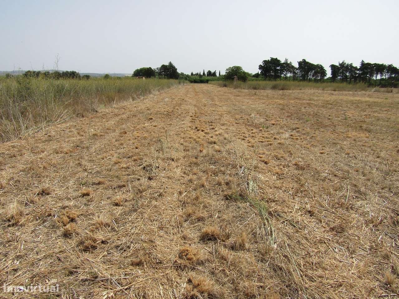 Terreno Rústico - Grande imagem: 4/12