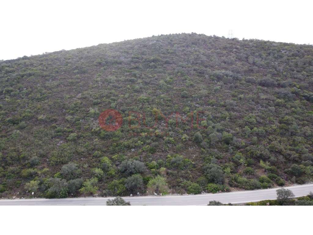 Terreno Rústico com Oliveiras e Alfarrobeiras em S. Brás de Alportel - Grande imagem: 4/7