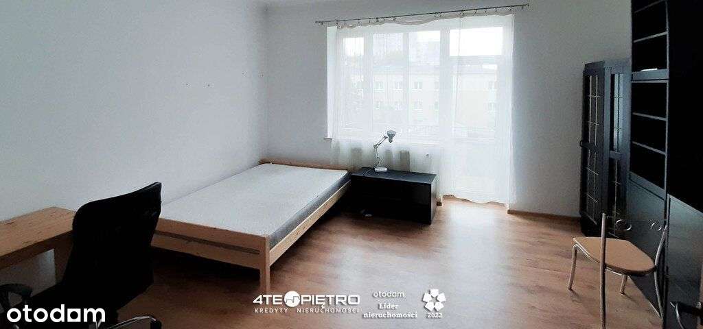 Stare miasto, deptak, centrum, uczelnia, zielono - Pełny obrazek: 3/4