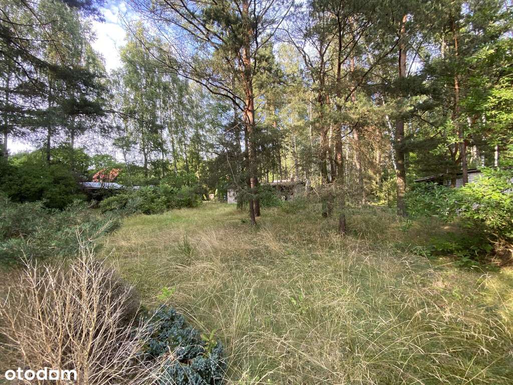 Działka Rekreacyjna z możliwością przekształcenia - Pełny obrazek: 4/8