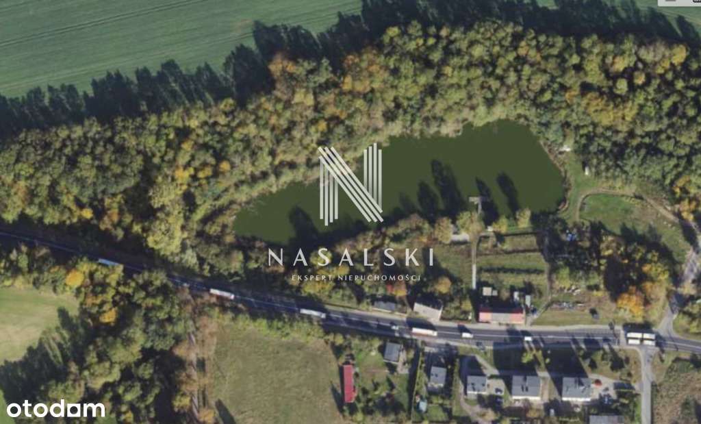 Działka ze stawem 2,45 ha Strzelewo gm. Sicienko - Pełny obrazek: 4/5