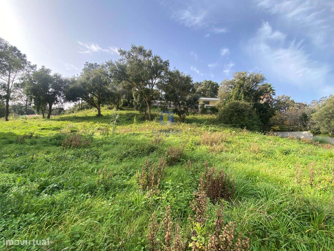 Terreno para Construção  – Localização Privilegiada, Próximo às Caldas - Grande imagem: 4/23