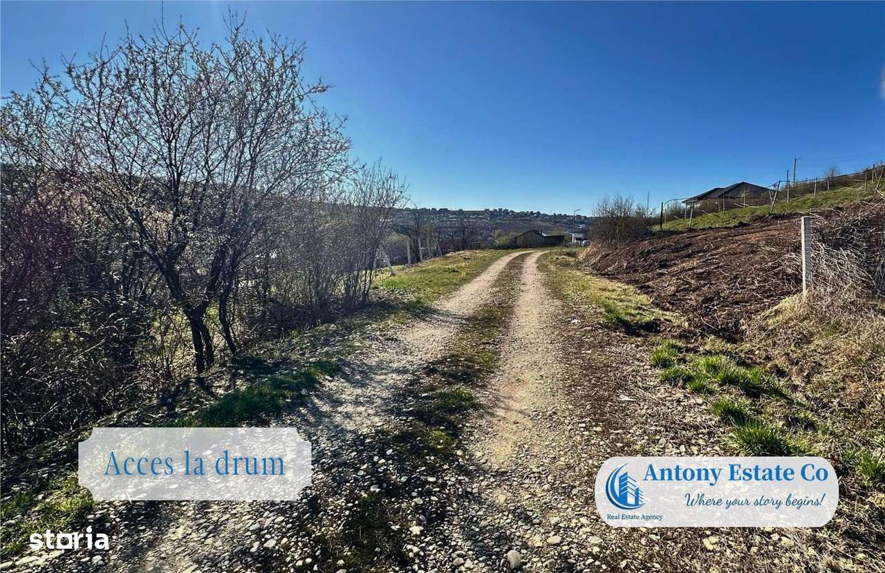 Teren intravilan de vanzare - Zona Saldabagiu De Munte, Bihor - Imagine principală: 3/6