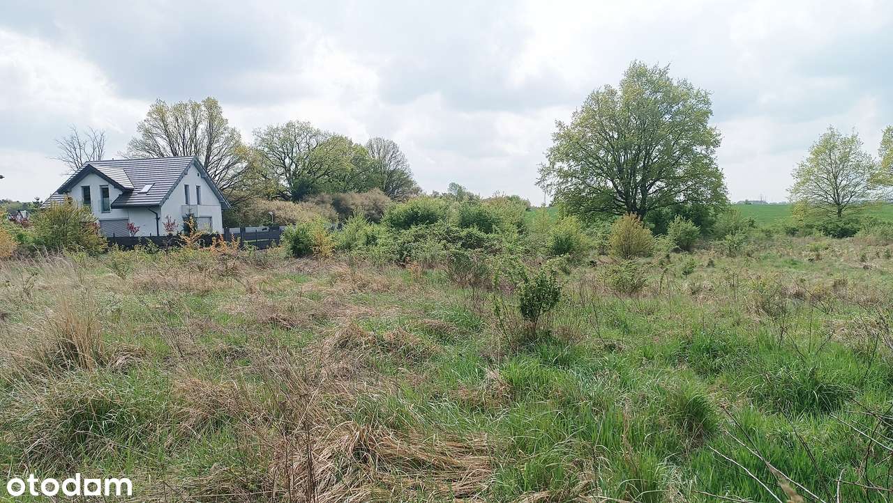 Piękna działka budowlana w super cenie! - Pełny obrazek: 1/4