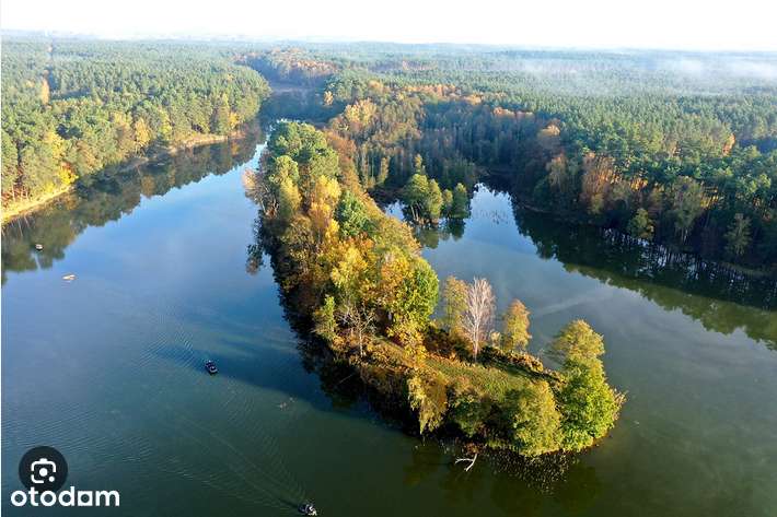 Tam, gdzie brzozy i las tworzą domowy klimat -  Brzozowe Zacisze - Pełny obrazek: 4/20