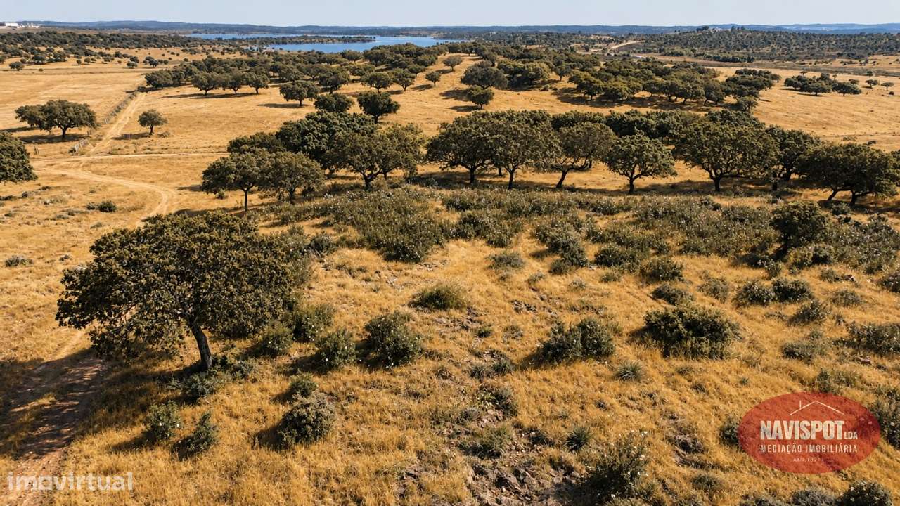 Herdade com 750 hectares no Alentejo-32