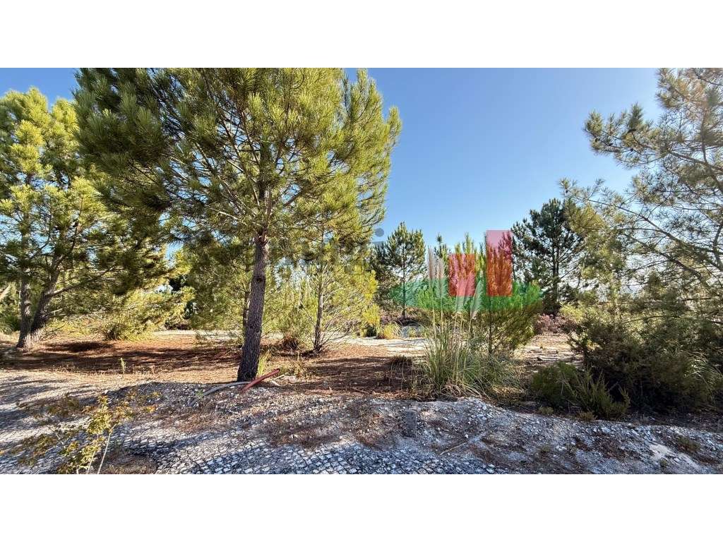 Lote Urbano Fonte Lagoa***RIOMAGIC***-6