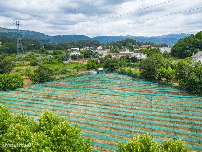 Terreno Agrícola - Figueiredo, Amares-9
