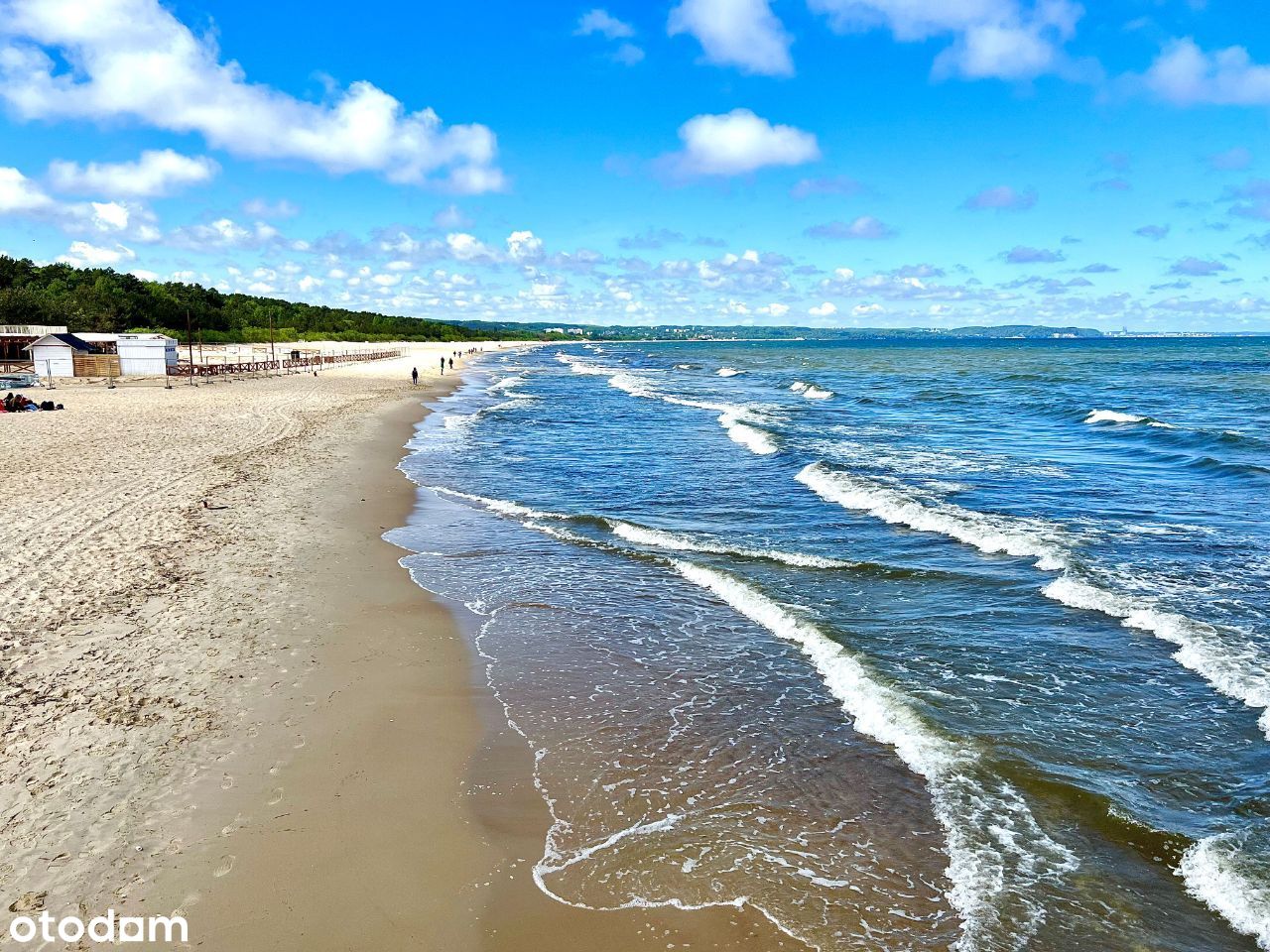 10 min. spacerem na plażę | 3 pokoje Gdańsk- Zaspa