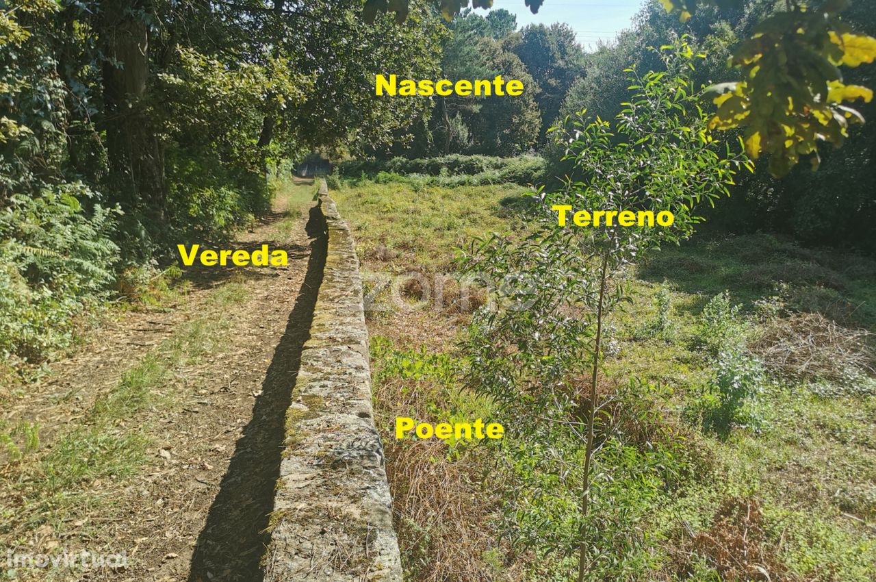 Terreno campo agrícola, com água, Rua das Cavadinhas, Sandim, Gaia