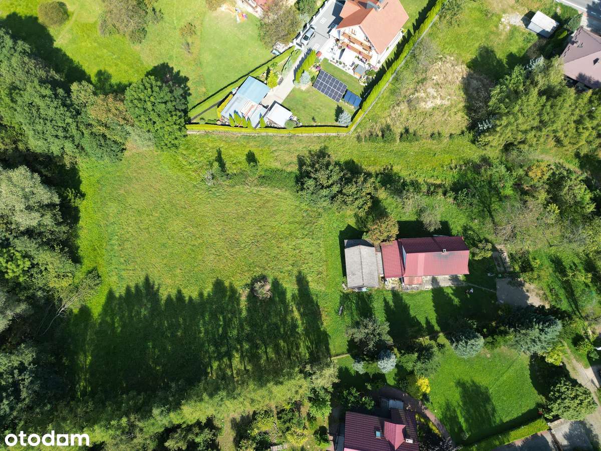 Działka inwestycyjna : budowlano - rolna z dwoma budynkami pod lasem - Pełny obrazek: 4/12