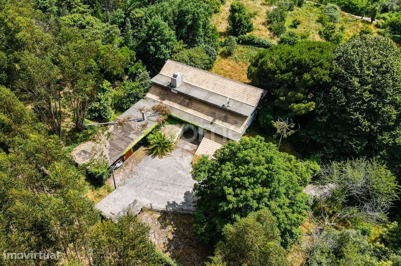Quinta T4 + T3 I Terreno I Figueiró dos Vinhos - Grande imagem: 2/56