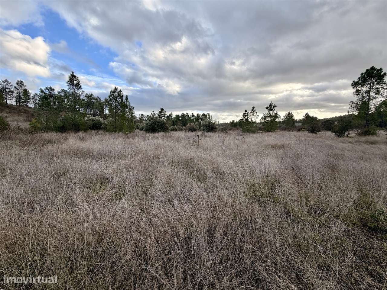 Quinta T0 Venda em Sarzedas,Castelo Branco-24