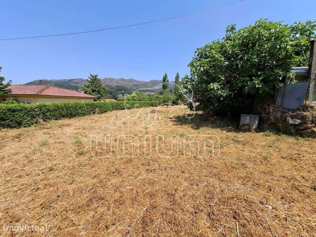 Terreno com Projeto Aprovado - Grande imagem: 3/10