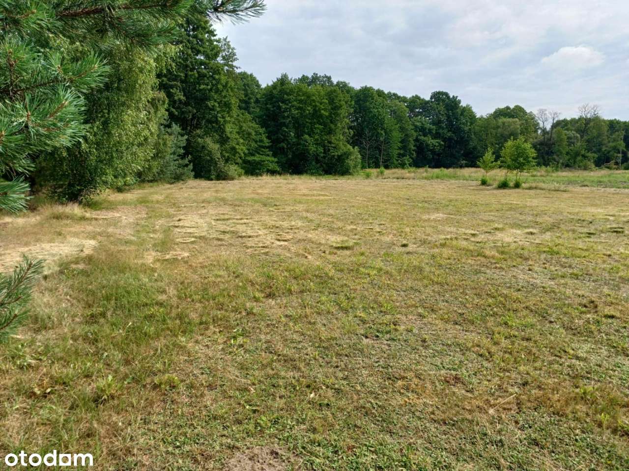 Działka budowlano-rolna, w drugiej linii zabudowy, Bednary - Pełny obrazek: 4/6