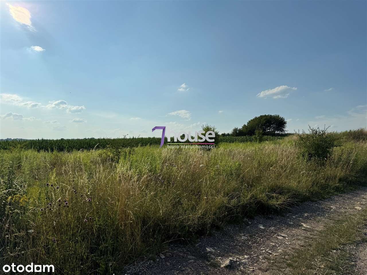 Widokowa Działka w Spokojnej Okolicy! MIERZĘCICE, ul. Radosna!-1