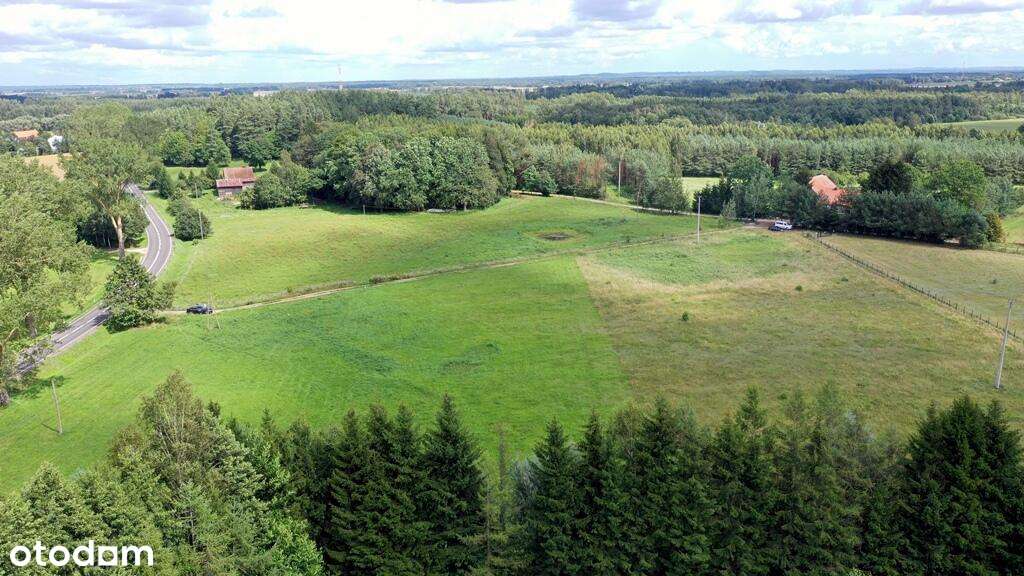 Działka Bud. Więcki gm Budry - Pełny obrazek: 4/7