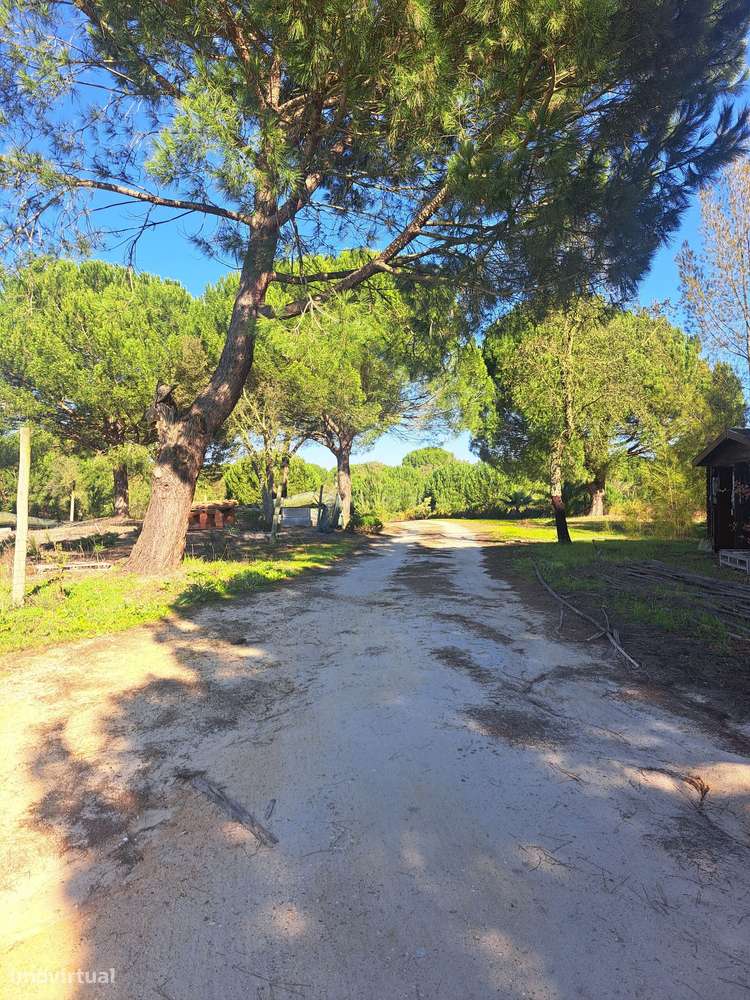 Terreno em Pegões  próximo  novo aeroporto - Grande imagem: 1/22