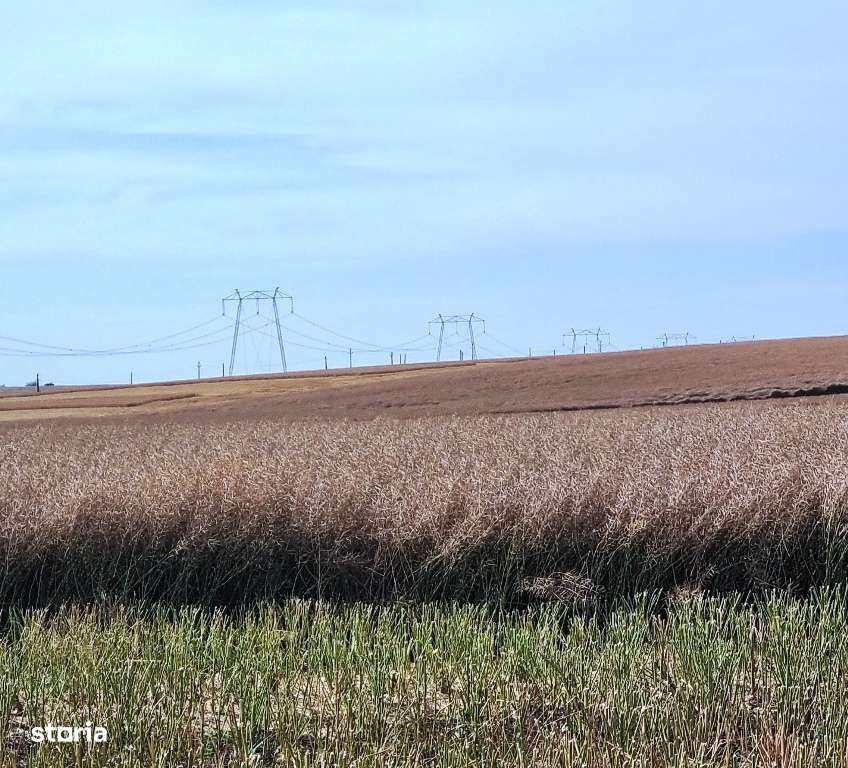 Vanzate Teren intravilan Cernica 4000MP-7