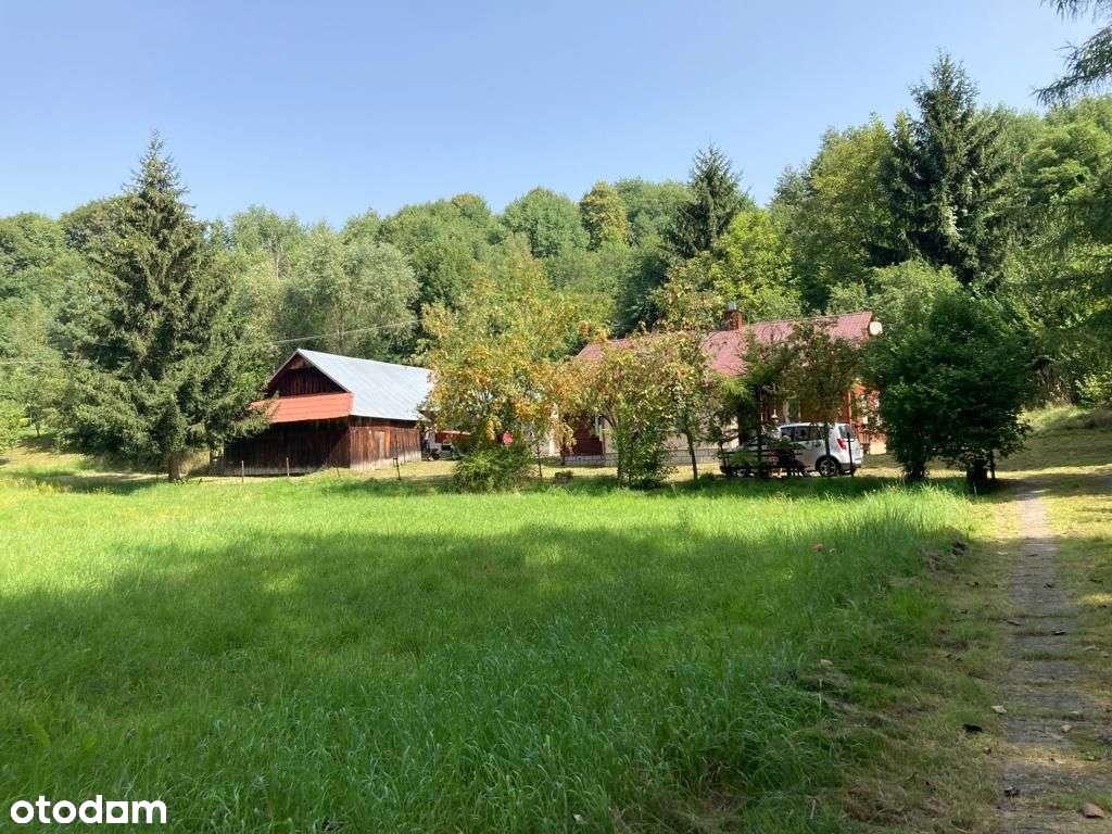 Magiczne siedlisko z lasem, rzeczką i historią-6