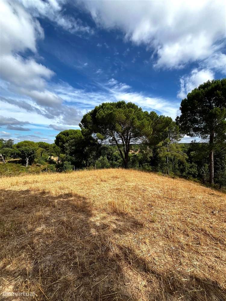 Quinta >=T10 Venda em Cortiçadas de Lavre e Lavre,Montemor-o-Novo-57
