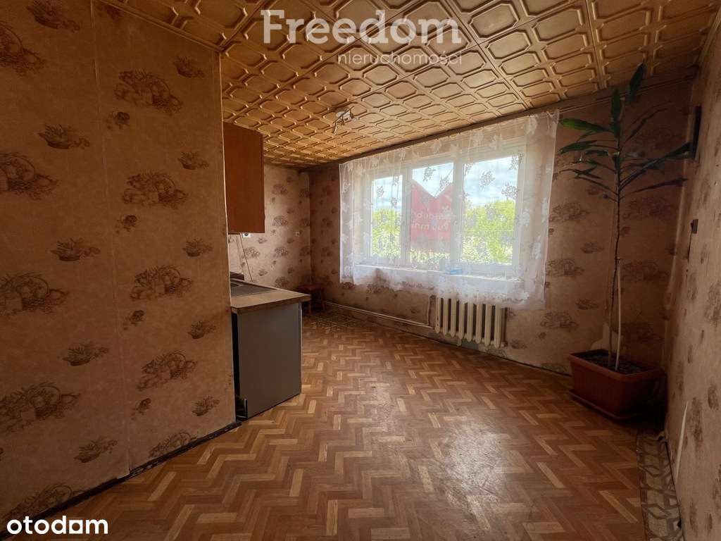 Jeleń- 2 pokoje z ogródkiem, pom.gosp oraz działką - Pełny obrazek: 5/13