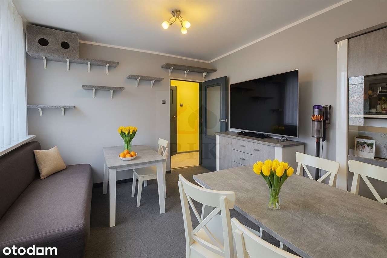 Przytulne 3pokojowe Koszutka ul Grabowa, po termomodernizacji, sprawdz-8