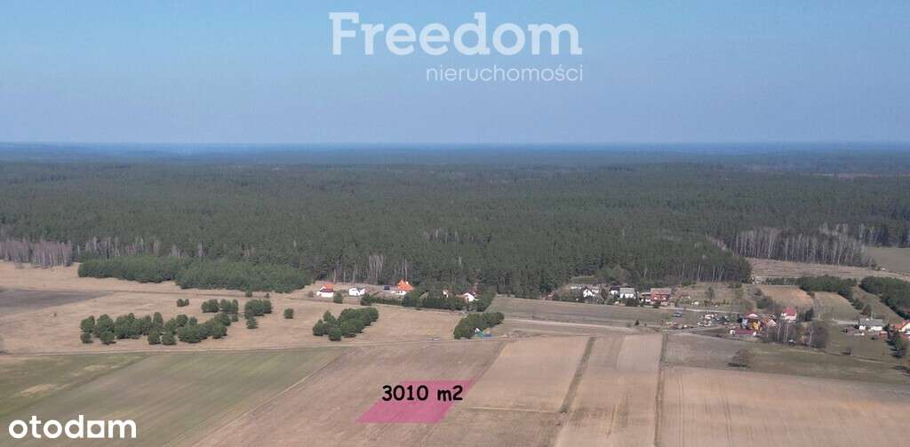 Działka na Mazurach Napiwoda Nidzica - Pełny obrazek: 2/20