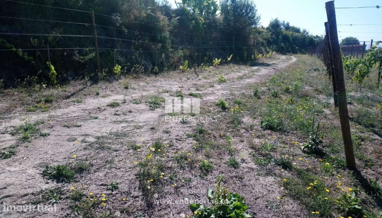 Venda Terreno, Gove, Baião - Grande imagem: 4/30