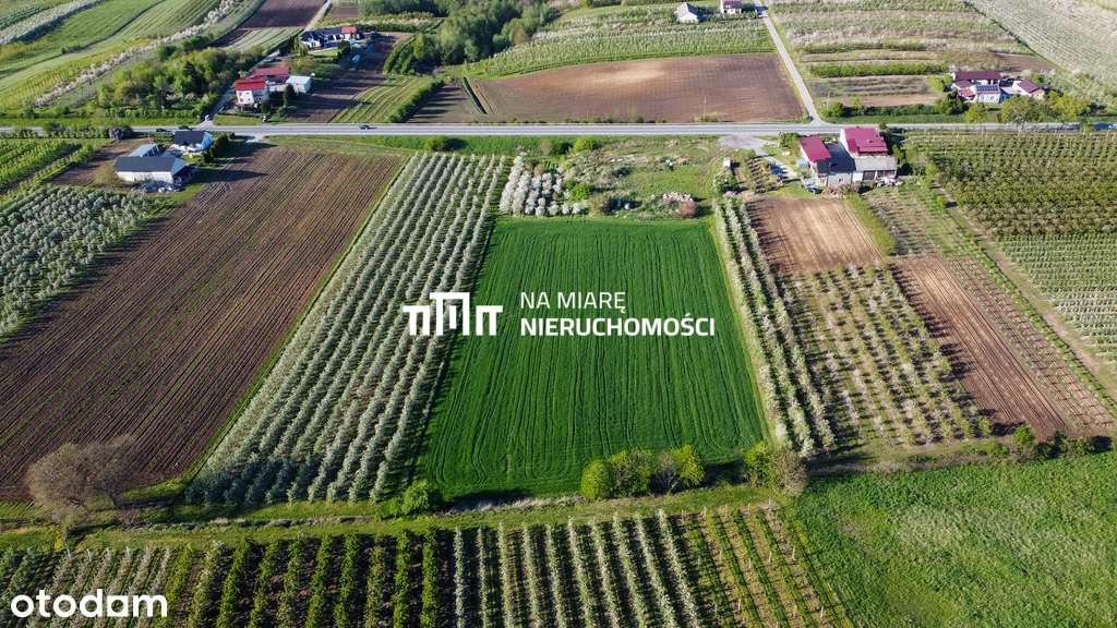 Duża działka rolna | 1.6 ha | Mpzp - Pełny obrazek: 5/9