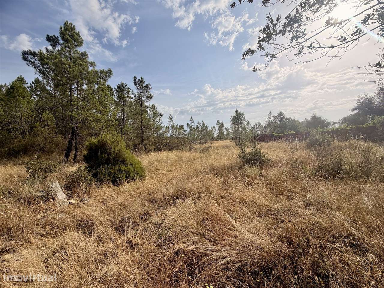 Quinta  Venda em Sarzedas,Castelo Branco-10