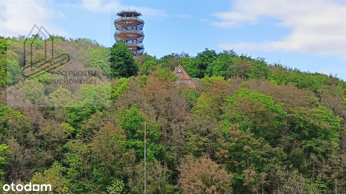 piękny widok / 3 pokoje / Śródmieście