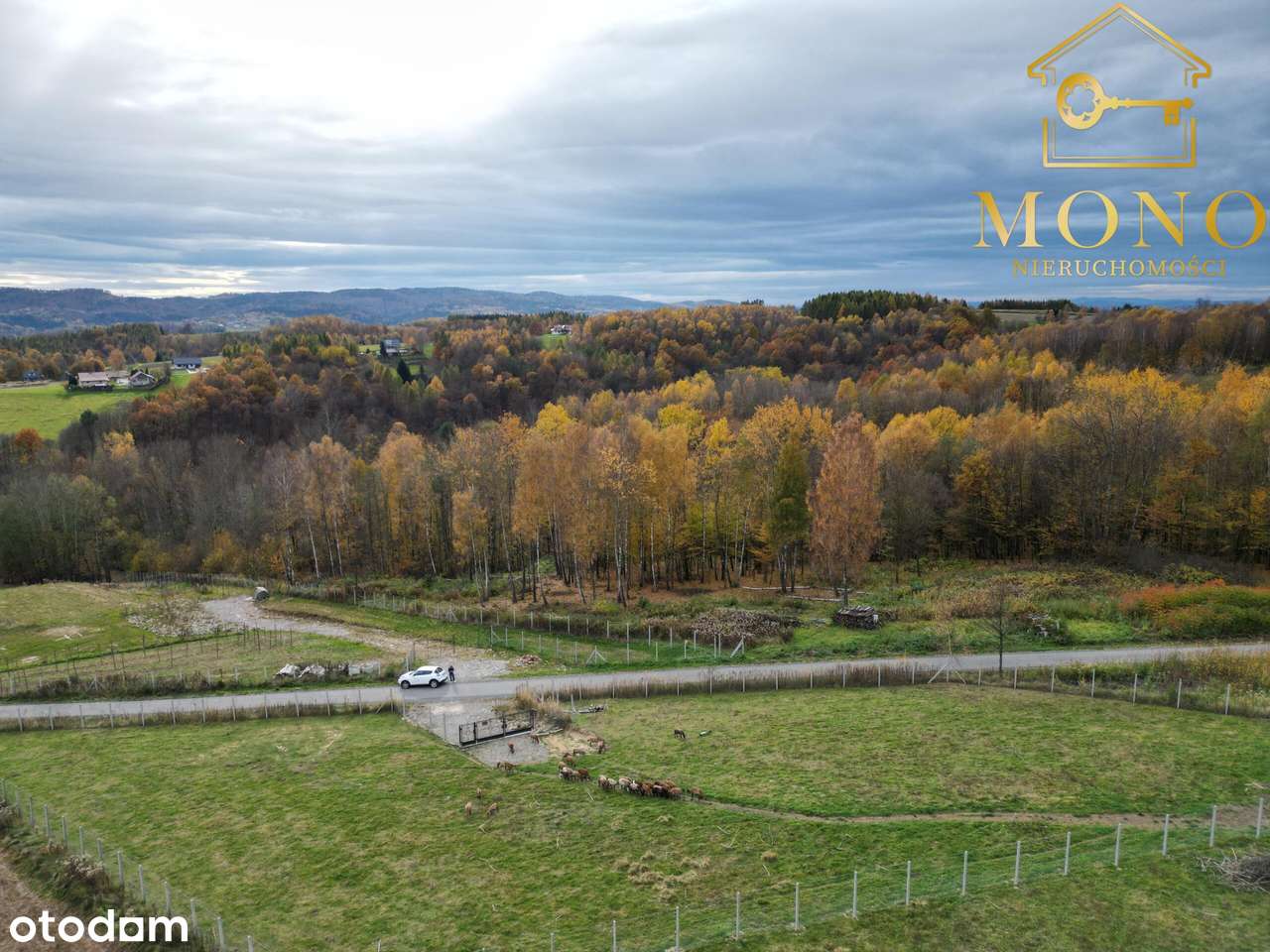 Duża, widokowa działka z lasem na terenie Pogórza Ciężkowickiego-11