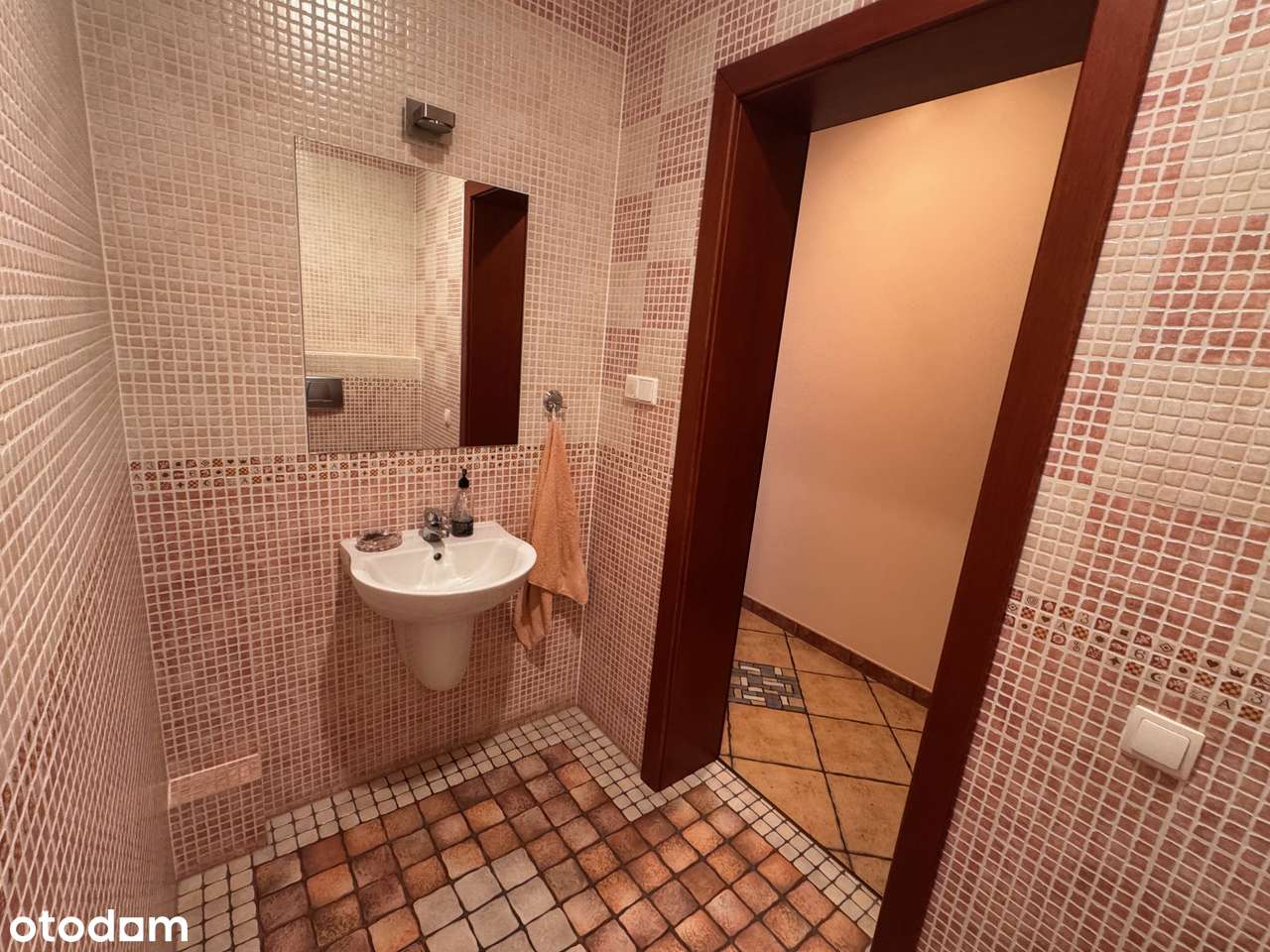 Bardzo duży dom +gabinet lekarski-12